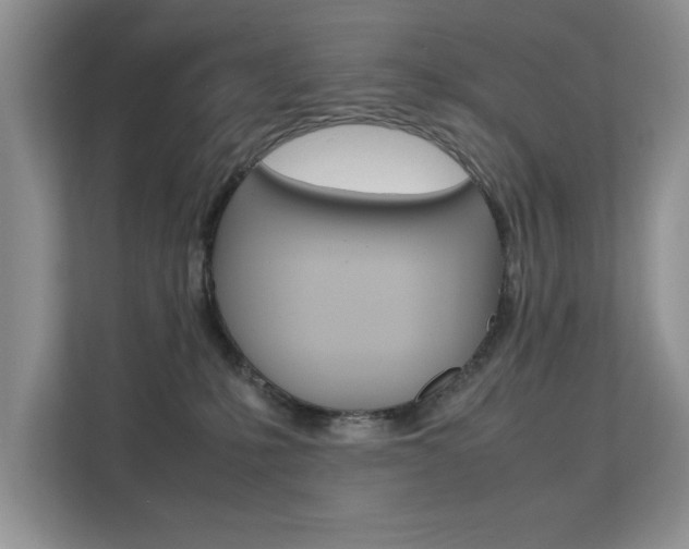 X0000112210231200908071309