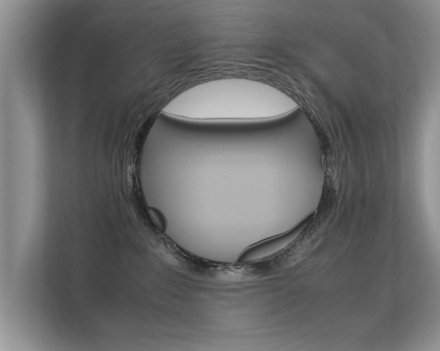X0000112210235200908071309