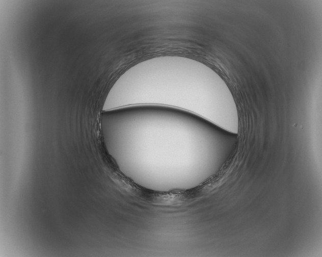 X0000112210237200908071309