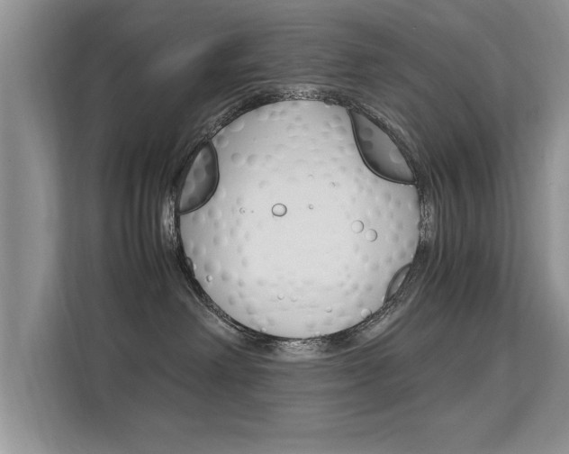 X0000112210238200908071309