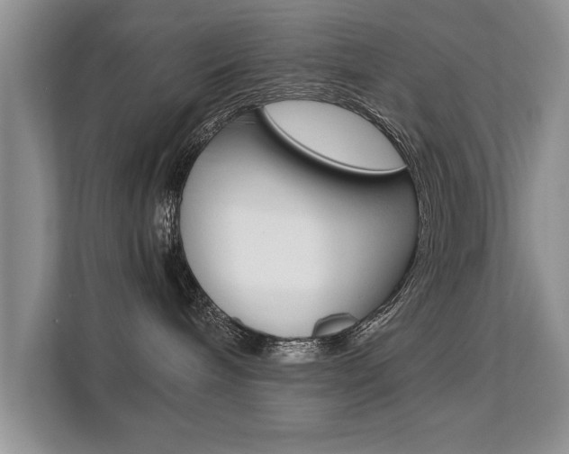 X0000112210240200908071309