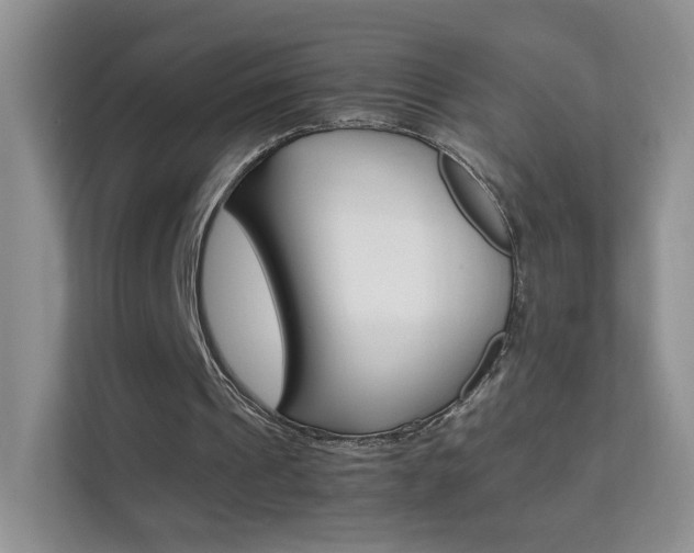 X0000112210241200908071308