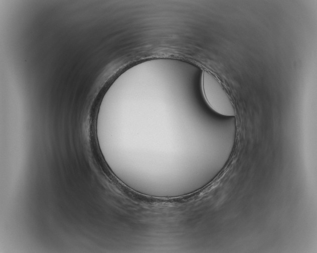 X0000112210242200908071308