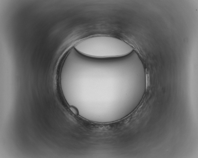 X0000112210243200908071308