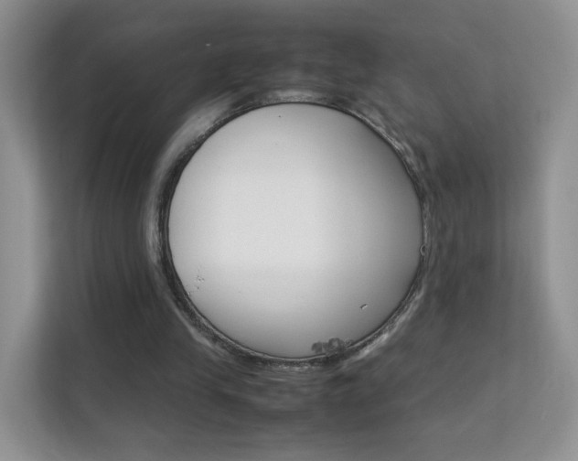 X0000112210245200908071308