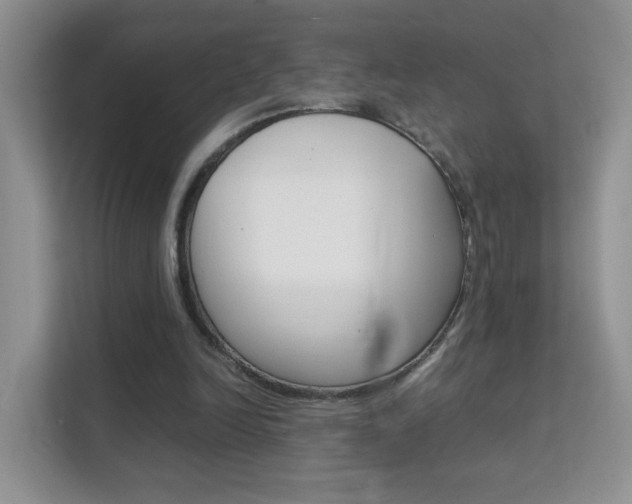 X0000112210246200908071308