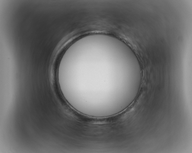 X0000112210247200908071308