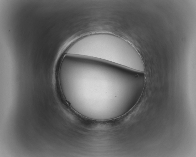 X0000112210248200908071308