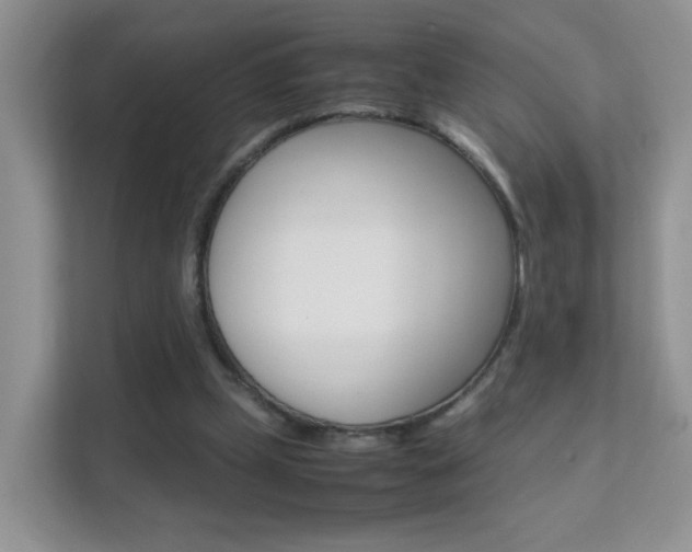 X0000112210249200908071308