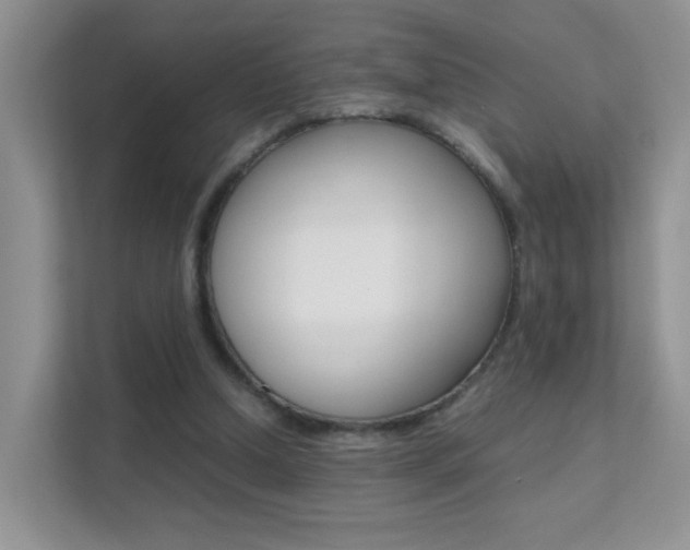 X0000112210250200908071308
