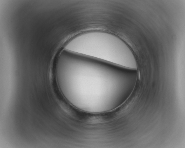 X0000112210252200908071308