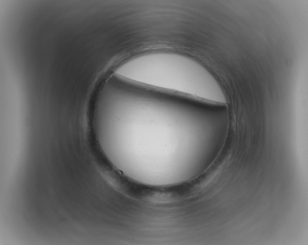 X0000112210256200908071309
