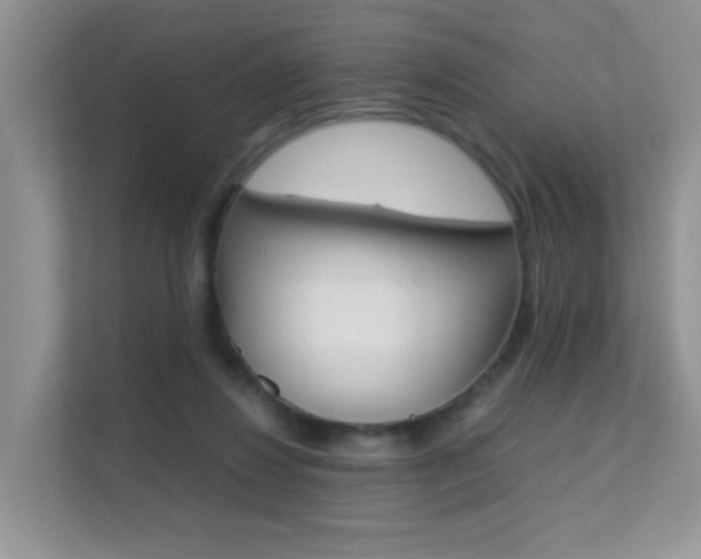 X0000112210260200908071309