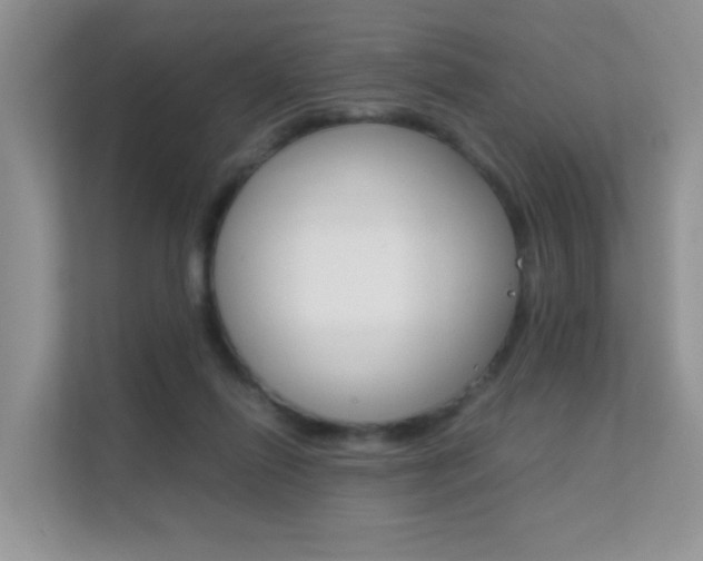 X0000112210262200908071309