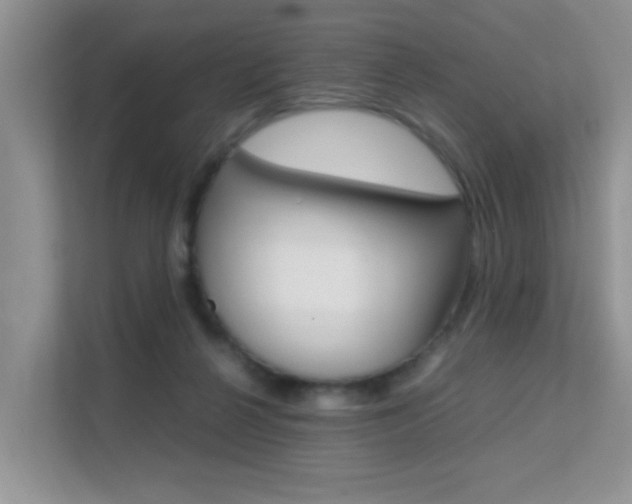 X0000112210264200908071309