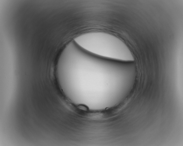 X0000112210266200908071309