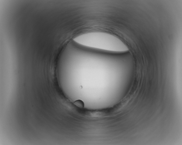 X0000112210268200908071309