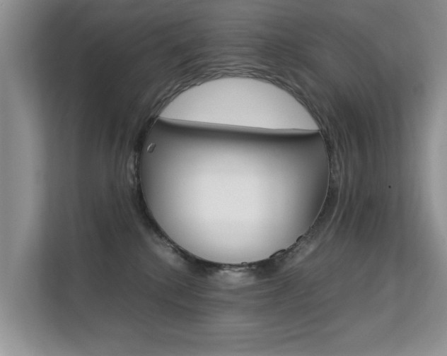 X0000112210280200908071309
