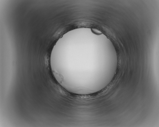 X0000112210282200908071309