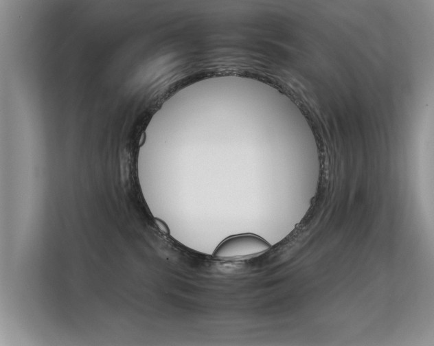 X0000112210283200908071309