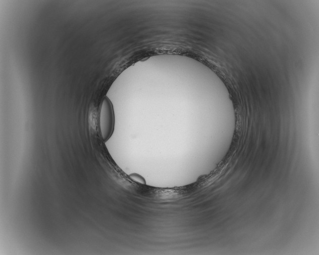 X0000112210287200908071309