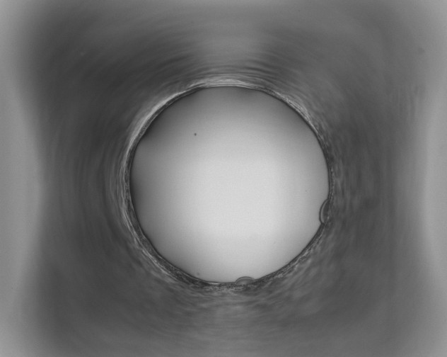 X0000112210289200908071308