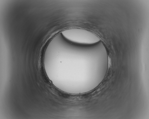 X0000112210291200908071308