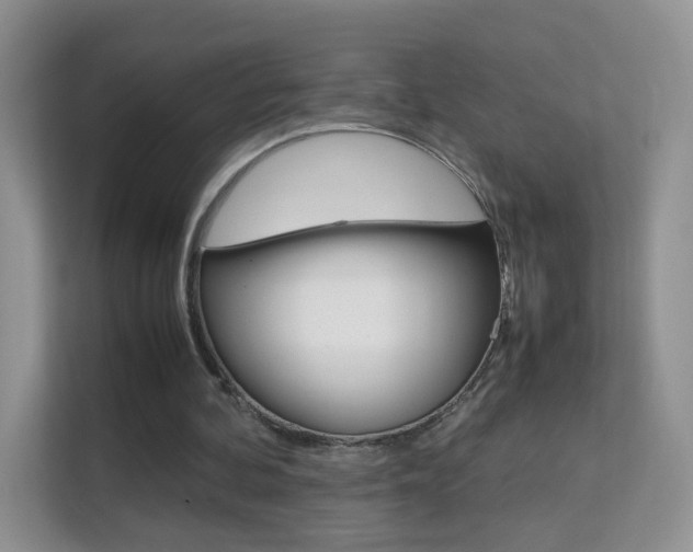 X0000112210292200908071308