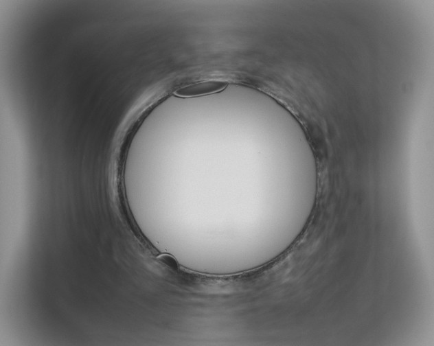 X0000112210293200908071308