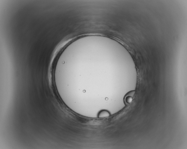X0000112210294200908071308