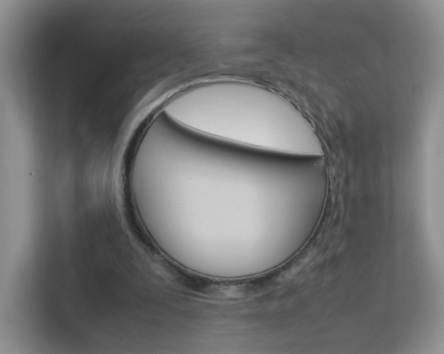 X0000112210295200908071308