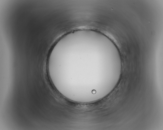 X0000112210297200908071308