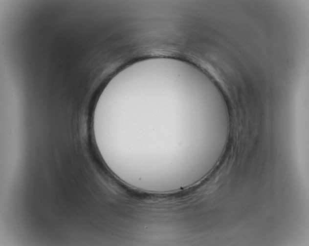 X0000112210299200908071308