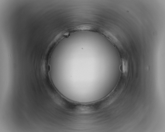 X0000112210300200908071308