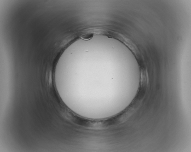 X0000112210301200908071308