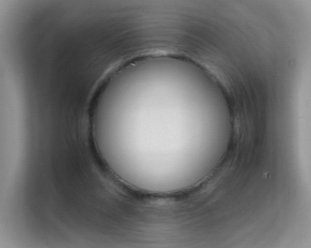 X0000112210304200908071308