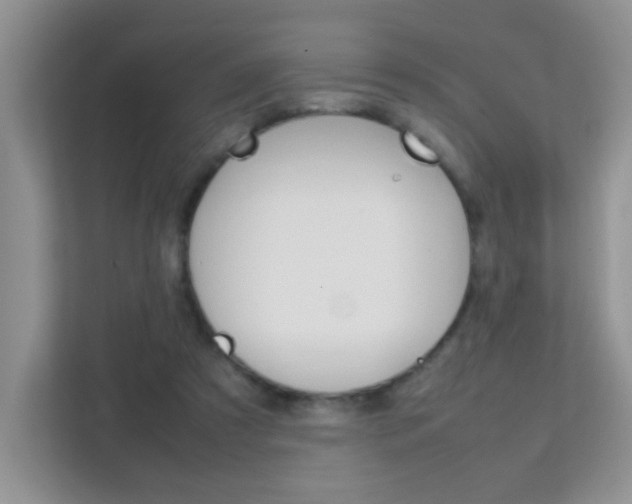 X0000112210305200908071308
