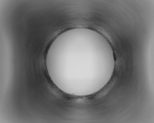X0000112210306200908071308