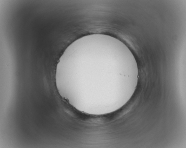 X0000112210307200908071308