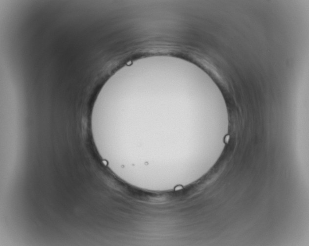 X0000112210309200908071308