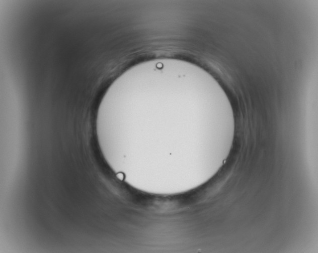 X0000112210311200908071308