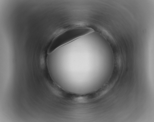 X0000112210312200908071308