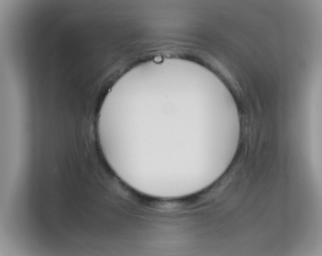 X0000112210313200908071308
