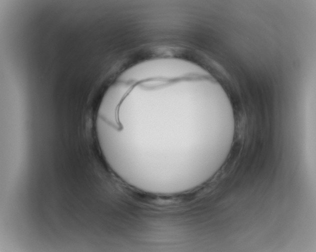 X0000112210314200908071308