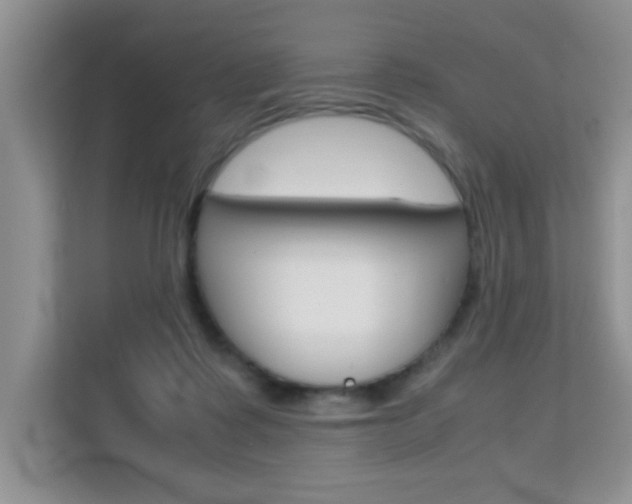 X0000112210315200908071308