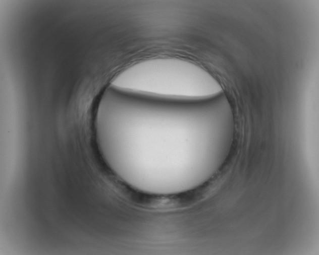 X0000112210319200908071308