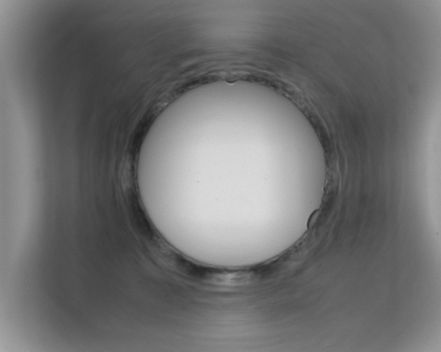 X0000112210323200908071308
