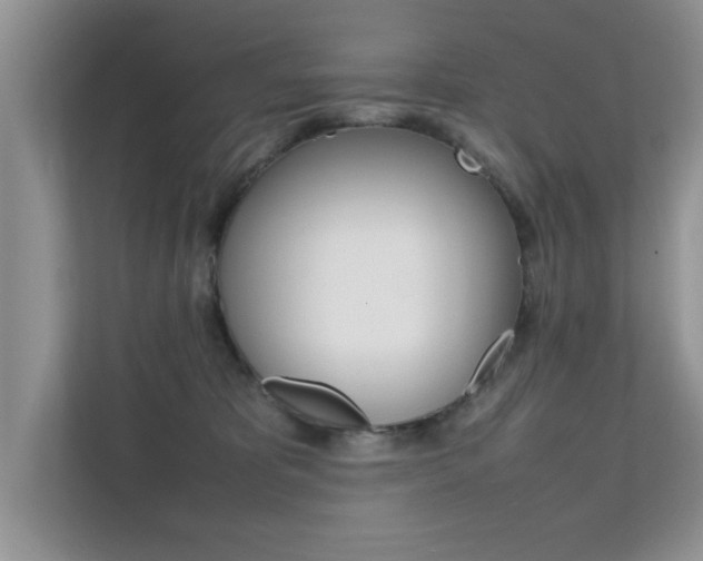 X0000112210325200908071308