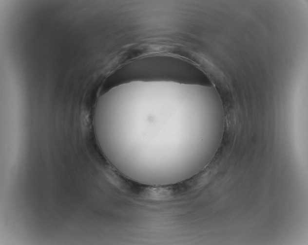 X0000112210327200908071308