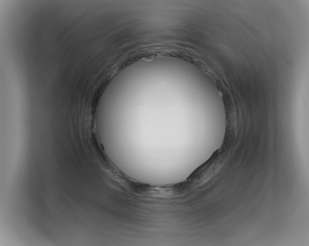 X0000112210328200908071308